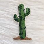 Cactus Patch