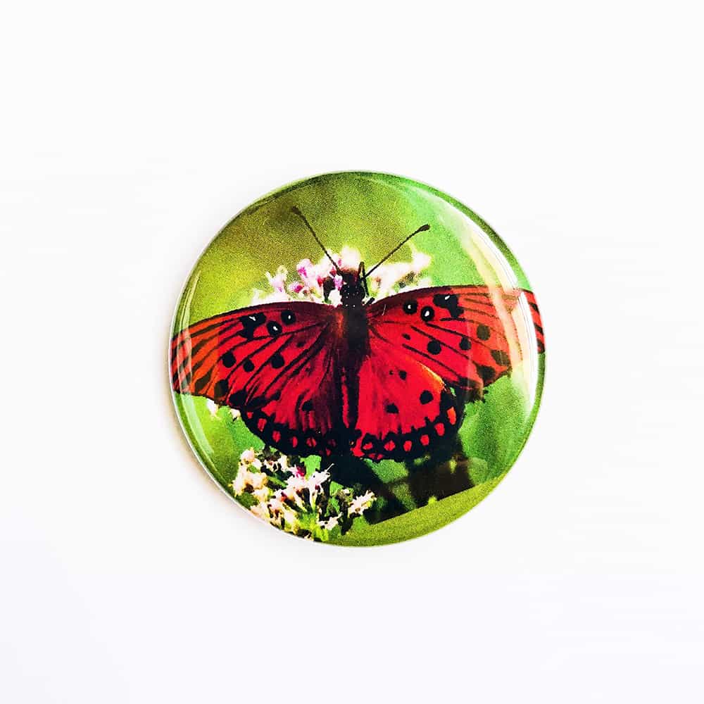 Butterfly5magnet Red Butterfly Magnet - Image 1