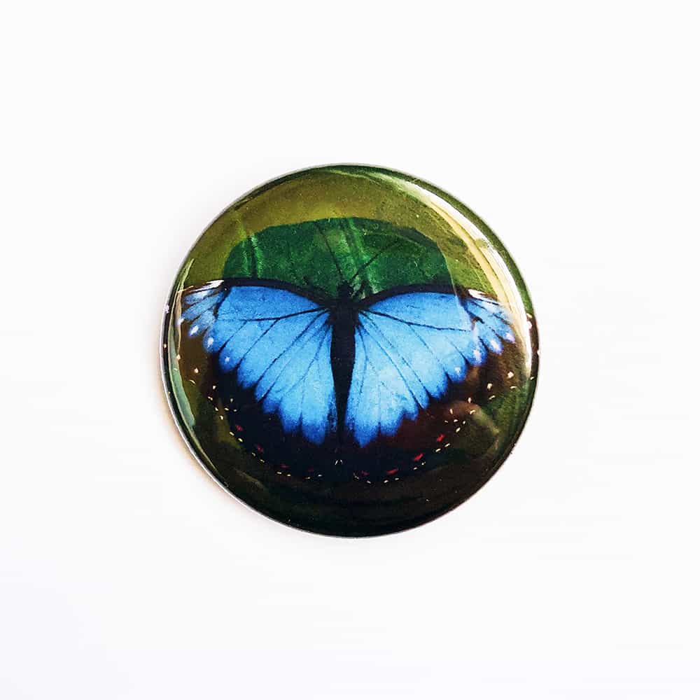 Butterfly8magnet Blue Butterfly Magnet - Image 1