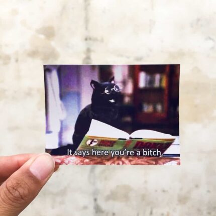 Salem Bitch Sticker