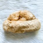 Caramel Faux Fur Hat