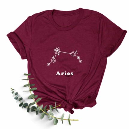 aries 1