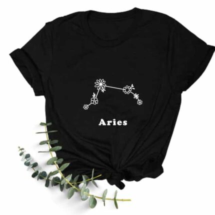 aries 2.1
