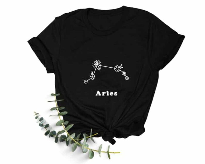aries 2.1