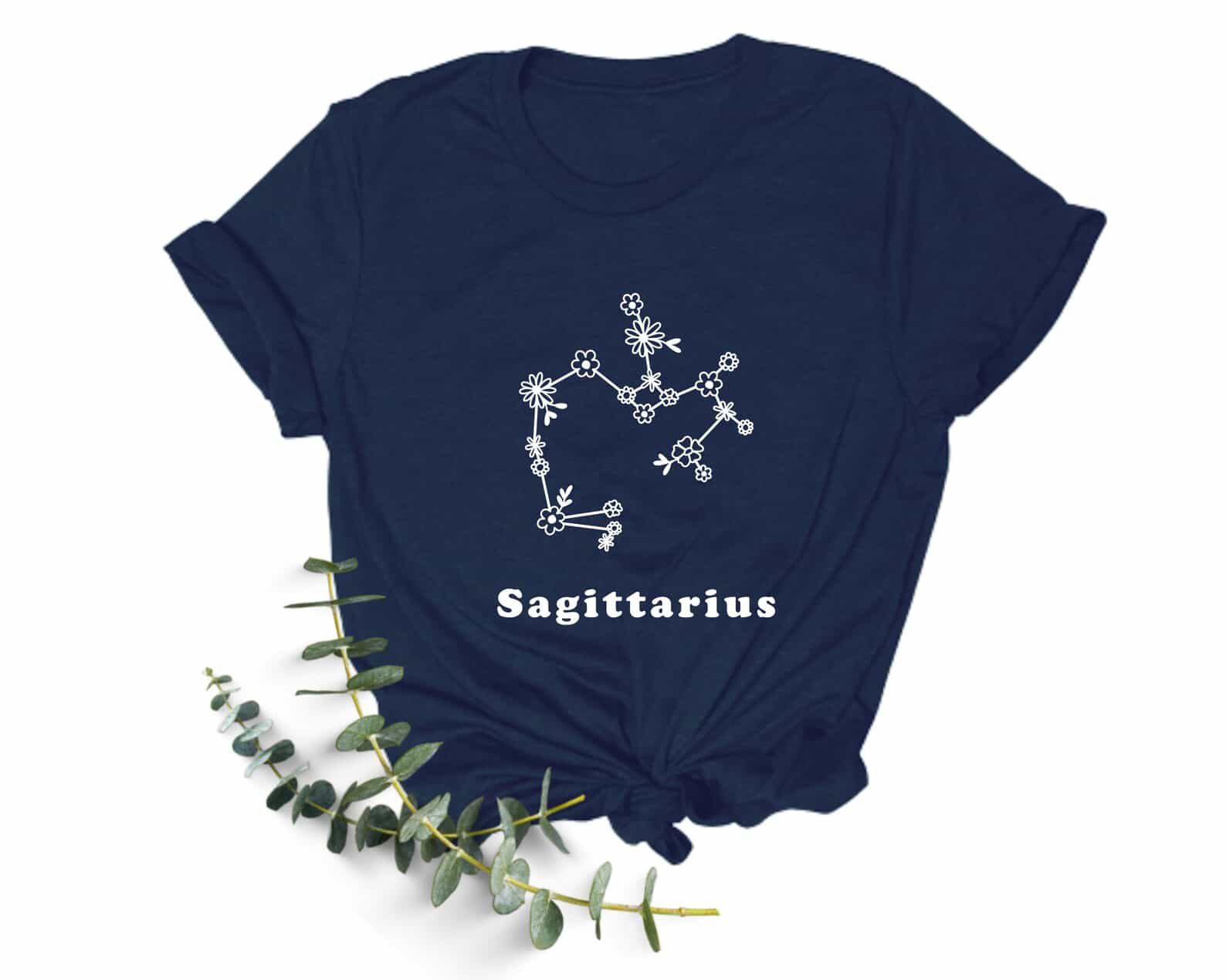 sagittarius 1 sagittarius 1