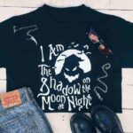 Shadow on the moon