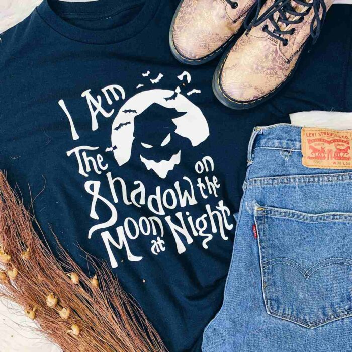 Shadow on the moon