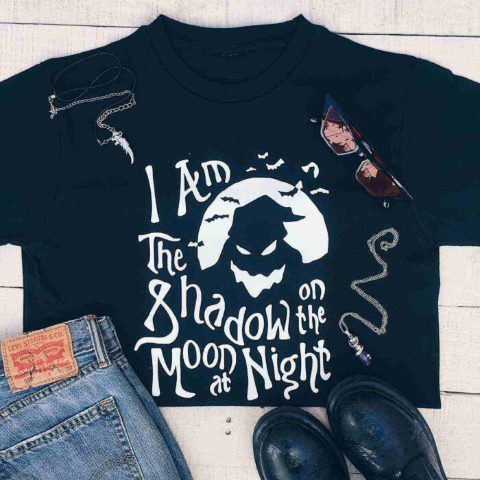 Shadow on the moon