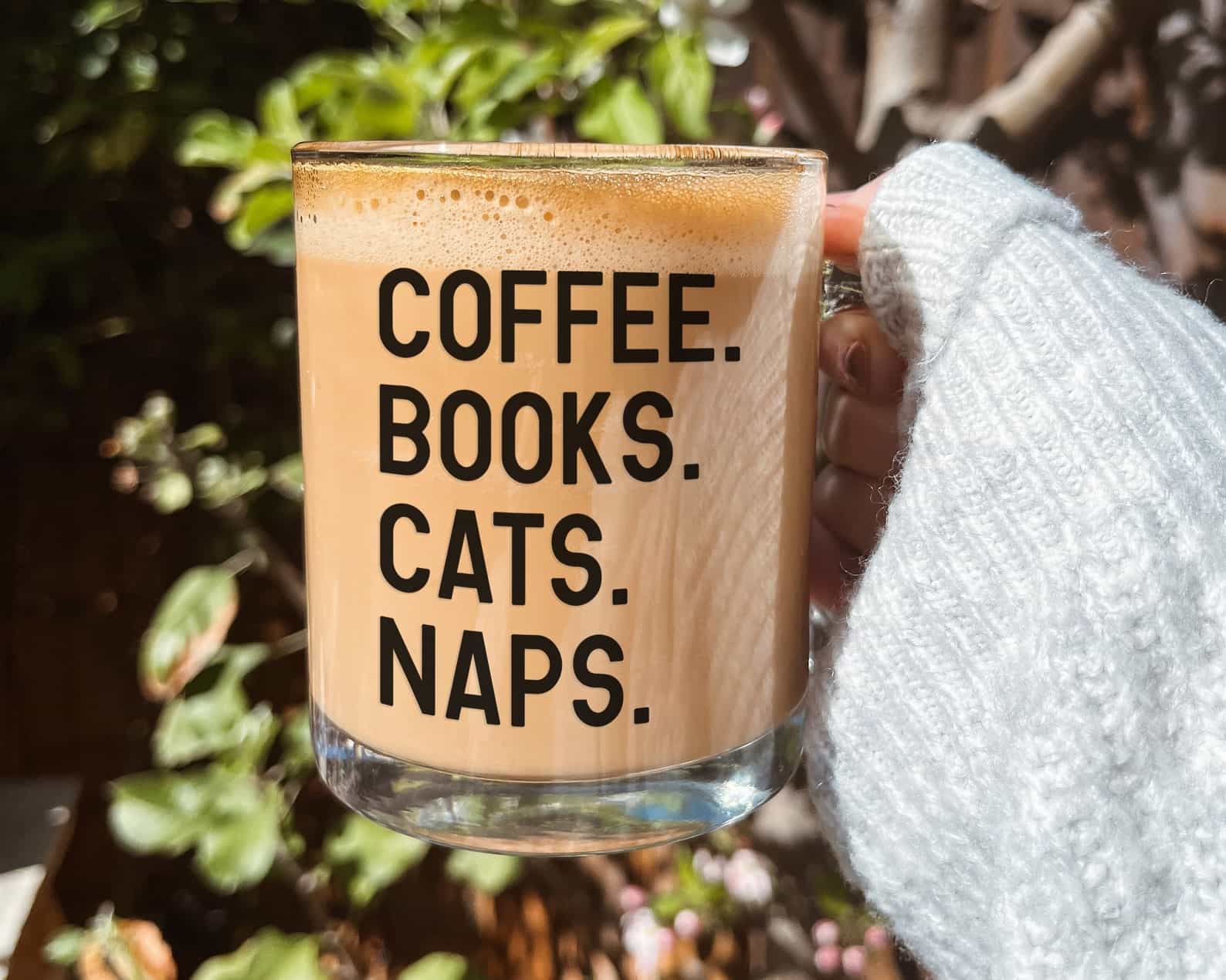 Coffee. Books. Cats. Naps Glass Mug Coffee. Books. Cats. Naps Glass Mug