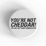 You're Not Cheddar Magnet