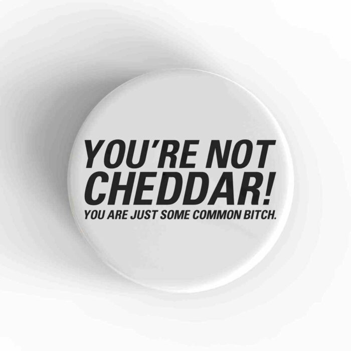 You're Not Cheddar Magnet