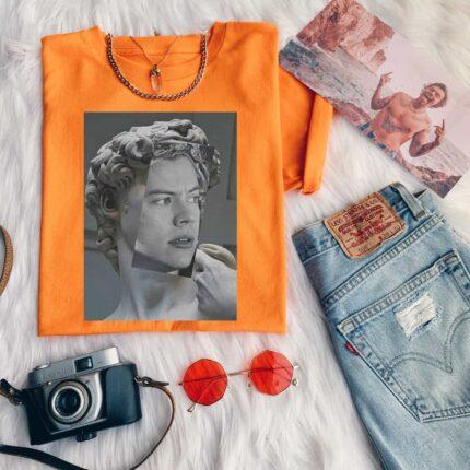 Harry Styles At Meme T-Shirt