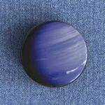 Neptune Badge/Magnet