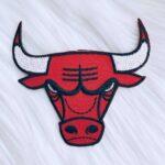 Bulls Patch