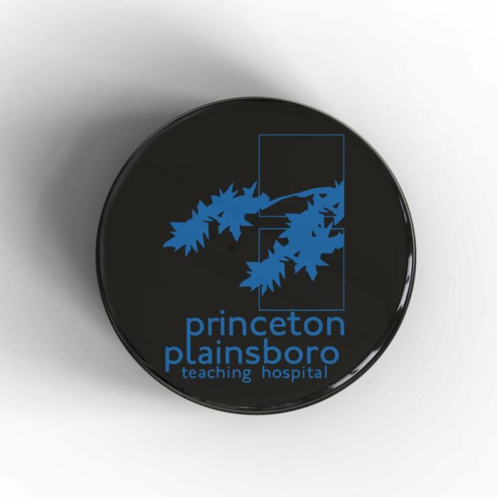 Princeton Plainsboro Logo Badge/Magnet