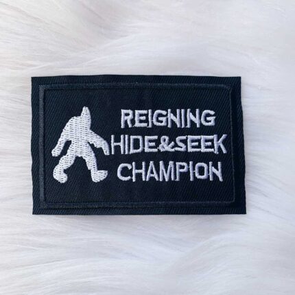 Hide and Seek Champion Patch